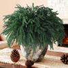 imageHomsunny 10 PCS Christmas Norfolk Pine Stems Real Touch Artificial Pine Branches Faux Christmas Greenery Stems 17quot Fake Pine Branches for Vase DlY Crafts Indoor Outdoor Home Decor