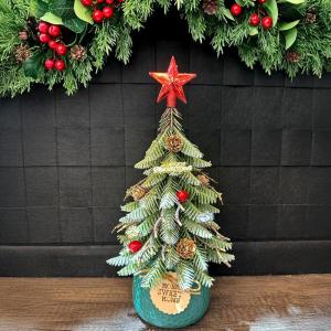 Artificial Mini Christmas Tree Tabletop Decorations,13 Inch Small Xmas Tree with Red Berry Ornaments for Table Top Office Desk Classroom Room Holiday Christmas Decor (Red Star)