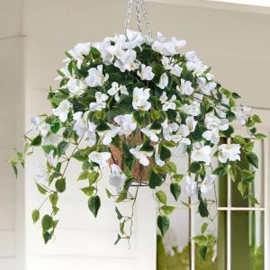 Homsunny Artificial Fake Hanging Flowers Plants Basket for Outdoor Decoration, Faux Silk Flower Bougainvillea Planter Look Real UV Resistant for Home Porch Patio Balcony Yard Spring Decor(Purple)(White)